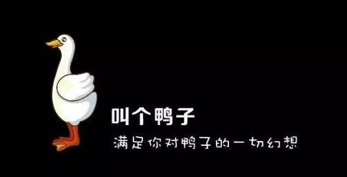 從叫個鴨子說起 如何起一個讓人喜聞樂見的好名 營銷學院 第6張